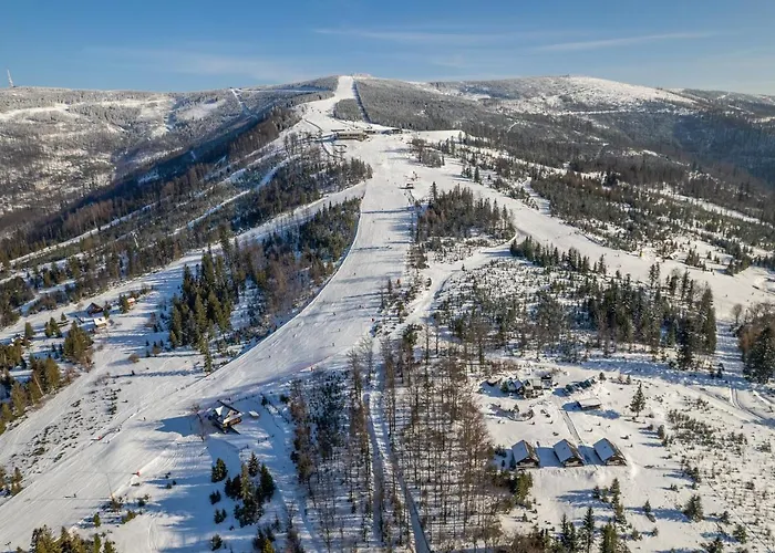 Szczyrkowe Zacisze Alpehytte *